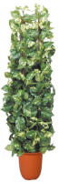 人工観葉植物 ポトスダブル