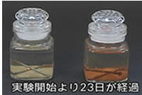 マイナス水素イオンの力で錆びない釘
